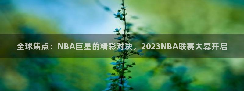 斗球nba直播