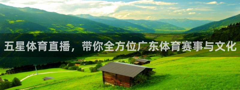 斗球直播ufc直播：五星体育直播，带你全方位广东体育赛事与文化