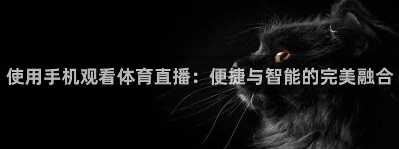 斗球直播安卓版：使用手机观看体育直播：便捷与智能的完美融合