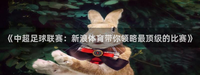 斗球体育nba直播免费观看：《中超足球联赛：新浪体育带你领略最顶级的比赛》