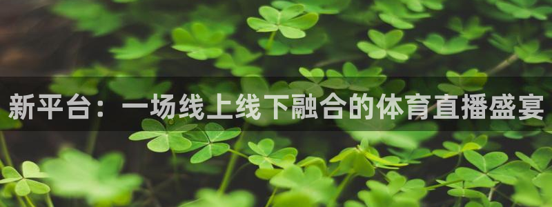 斗球app下载官网：新平台：一场线上线下融合的体育直播盛宴