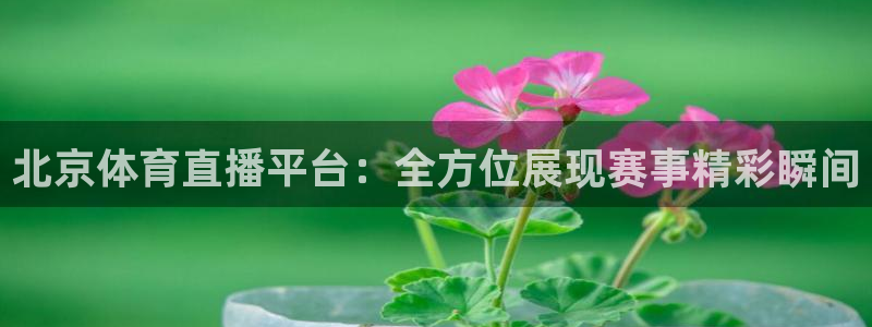 斗球看直播：北京体育直播平台：全方位展现赛事精彩瞬间